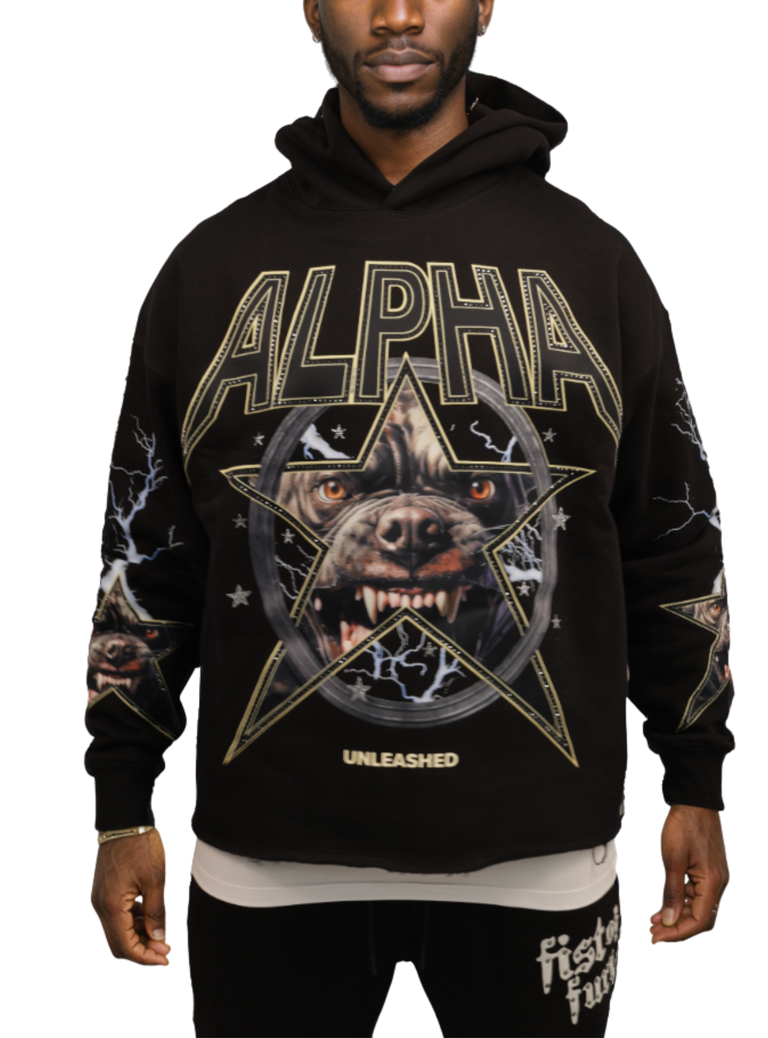 ALPHA DOG HOODIE (RK5481851)